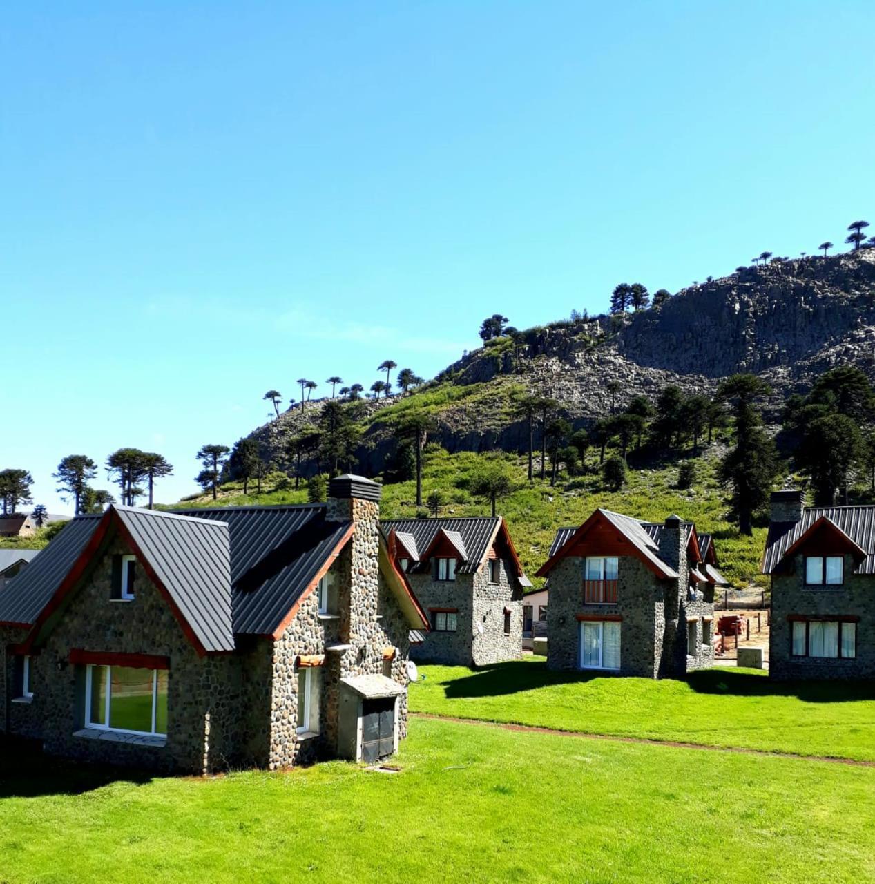 Cabanas Patagonia Village Caviahue Extérieur photo
